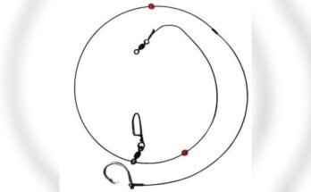 Best Fishing Rig For Redfish