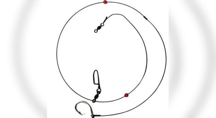 Best Fishing Rig For Redfish