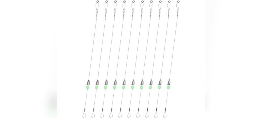 Best Fishing Rigs For Bass