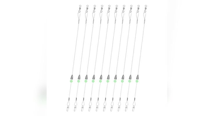 Best Fishing Rigs For Bass