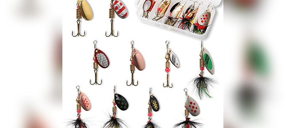 Best Fishing Setup For Trout