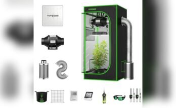Best Grow Tent Setup For Beginners