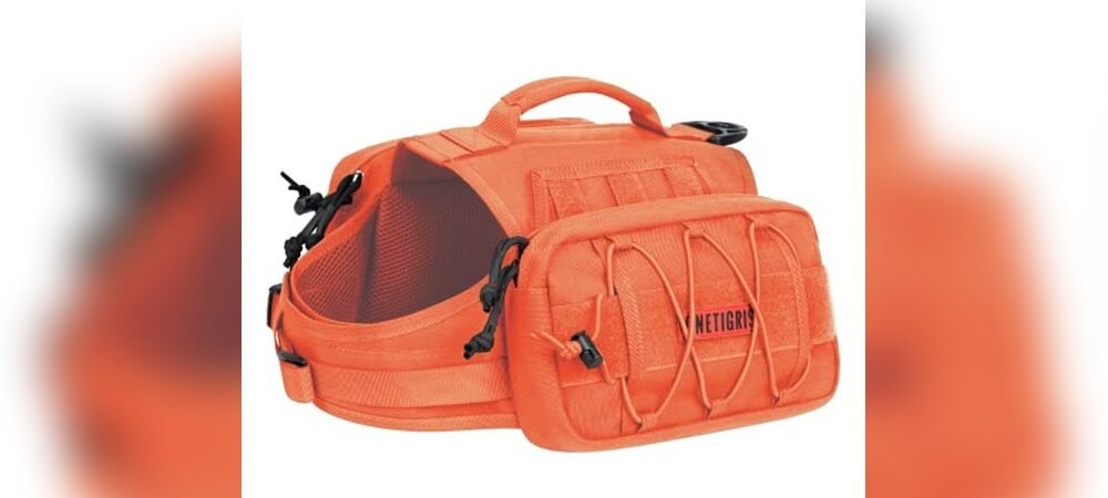 Best Hiking Backpack For Dogs