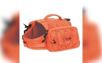 Best Hiking Backpack For Dogs