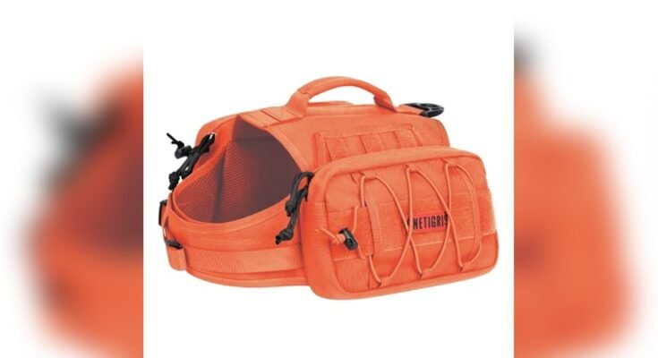 Best Hiking Backpack For Dogs