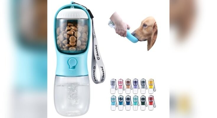 Best Hiking Gear For Dogs