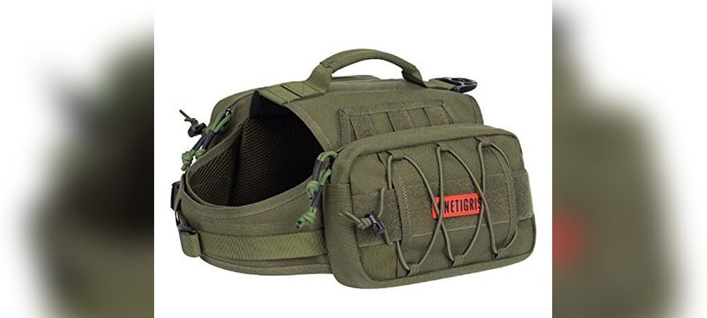 Best Hiking Pack For Dogs