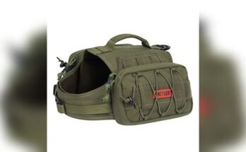 Best Hiking Pack For Dogs