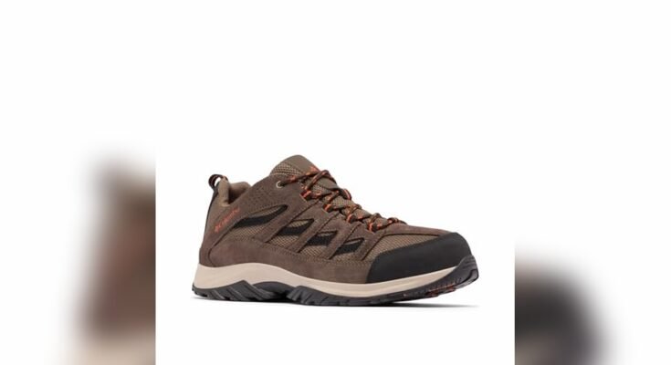 Best Hiking Shoes For Alaska