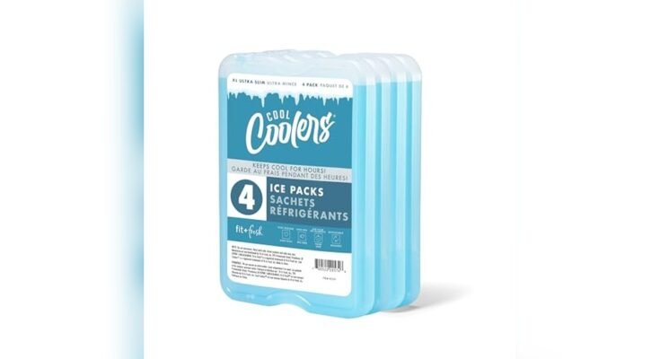 Best Ice Packs For Cooler