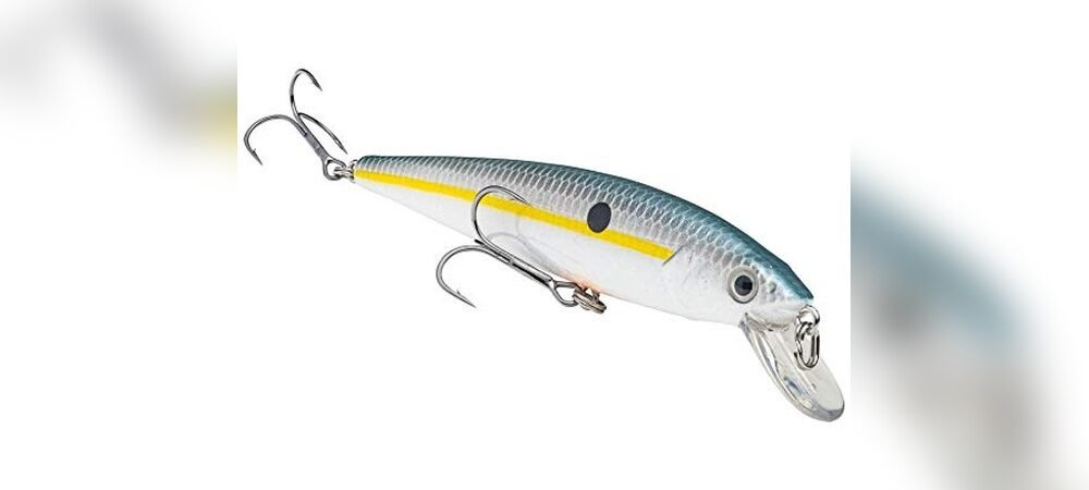 Best Jerkbaits For Bass Fishing