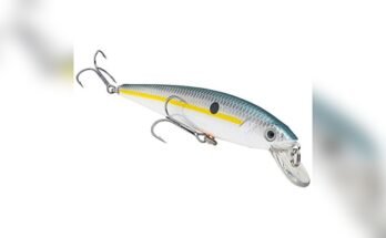 Best Jerkbaits For Bass Fishing