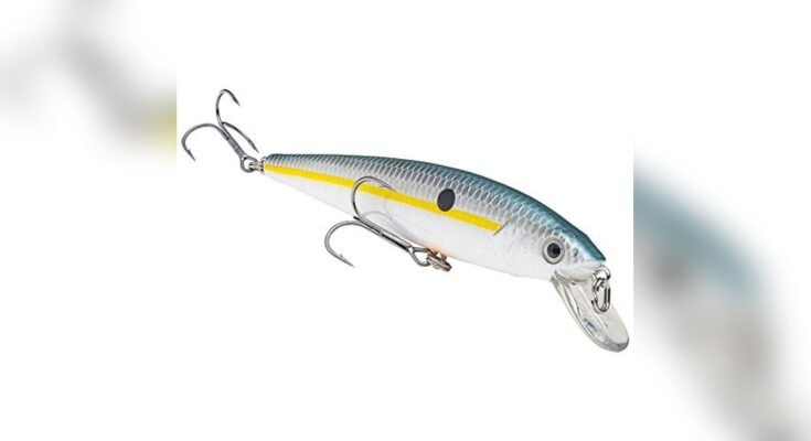 Best Jerkbaits For Bass Fishing