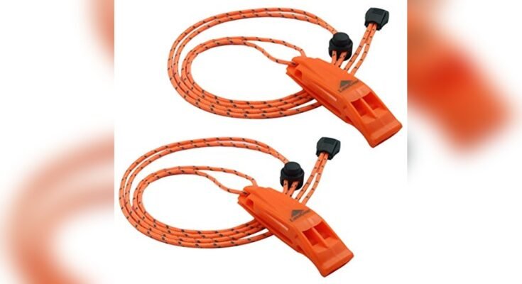 Best Jet Ski For Fishing