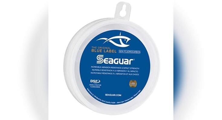 Best Leader Line For Saltwater Fishing