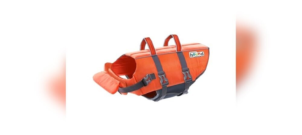 Best Life Jacket For Bulldogs