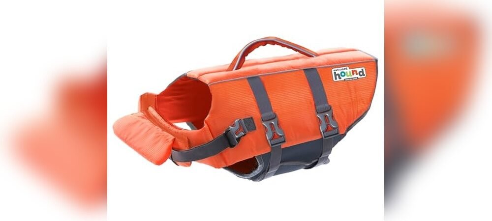 Best Life Jacket For Dachshund