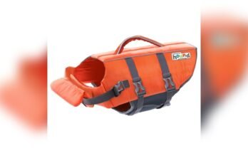 Best Life Jacket For Dachshund