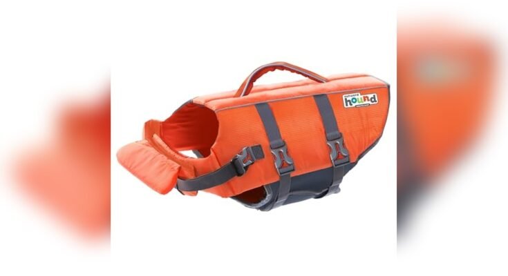 Best Life Jacket For Dachshund