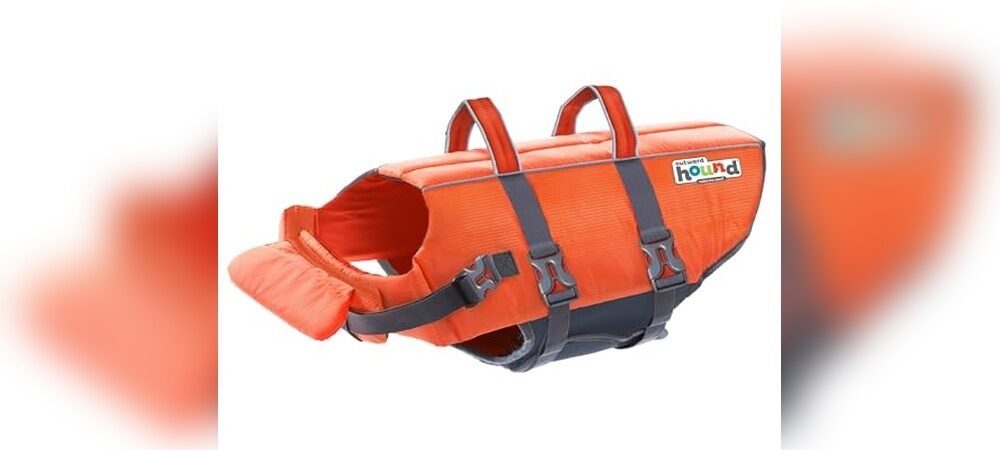 Best Life Jacket For Dog