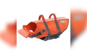 Best Life Jacket For Dog
