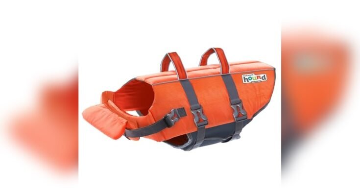Best Life Jacket For Dog