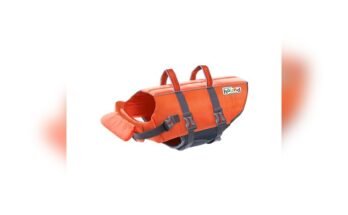 Best Life Jacket For English Bulldog