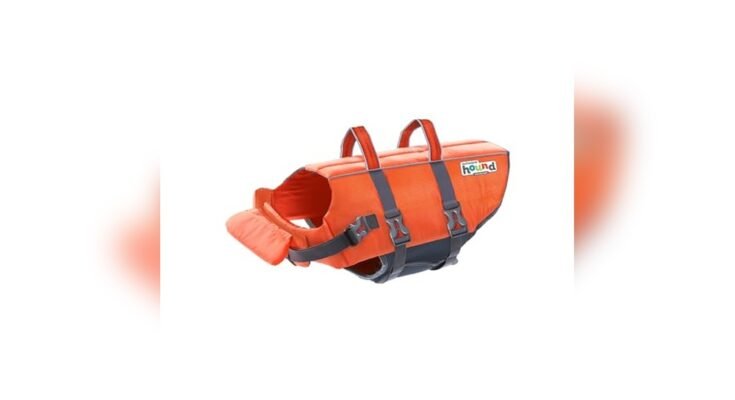 Best Life Jacket For English Bulldog