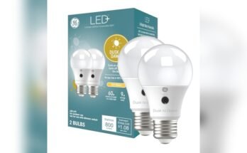 Best Light Bulbs For Outdoor