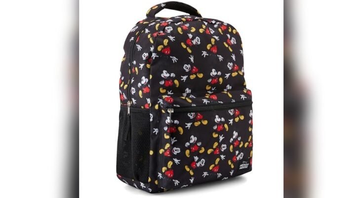 Best Lightweight Backpack For Disney World