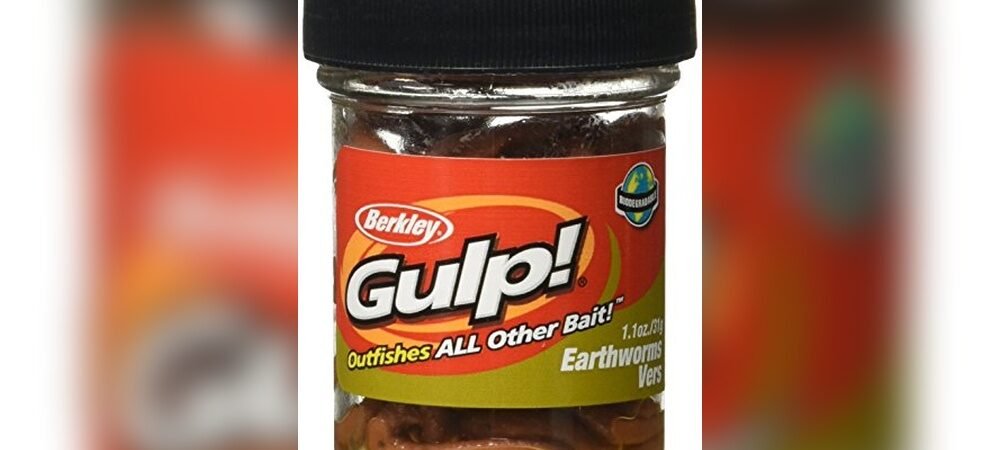 Best Live Bait For Fishing