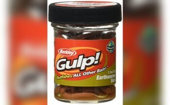 Best Live Bait For Fishing