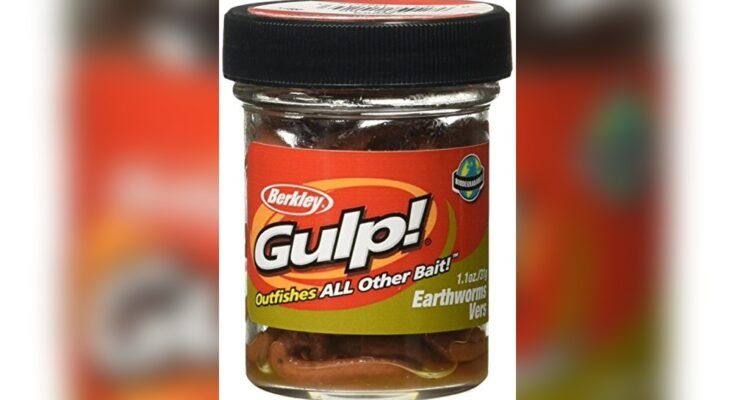 Best Live Bait For Fishing