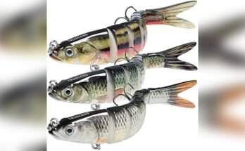 Best Lures For Saltwater Fishing