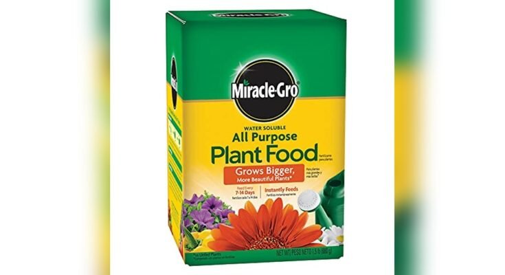 Best Nutrients For Outdoor Grow