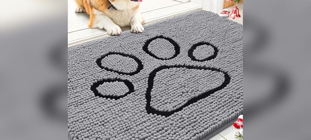 Best Outdoor Doormat For Dogs