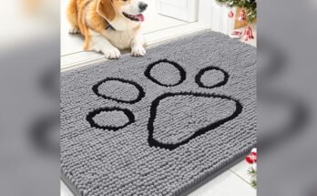 Best Outdoor Doormat For Dogs
