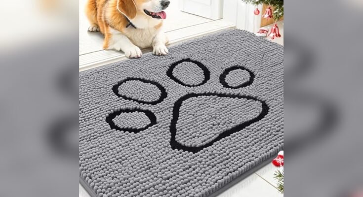 Best Outdoor Doormat For Dogs