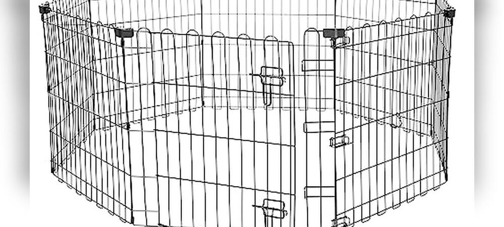 Best Outdoor Fence For Dogs