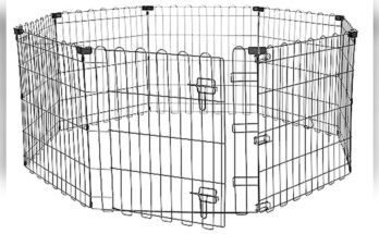 Best Outdoor Fence For Dogs