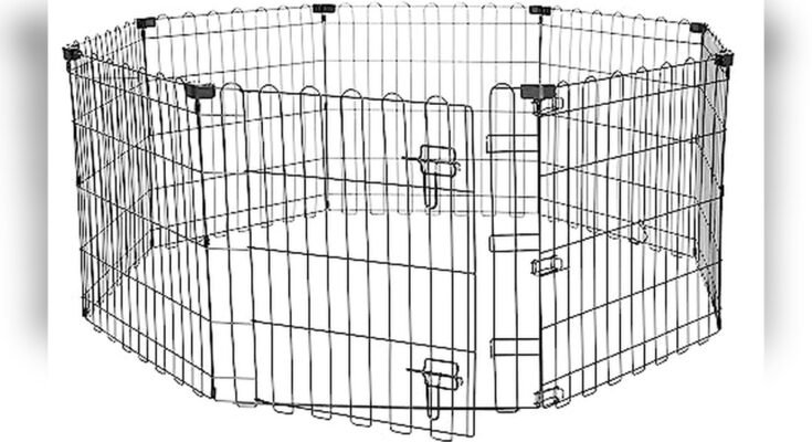 Best Outdoor Fence For Dogs