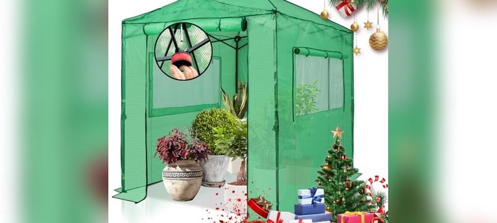 Best Outdoor Greenhouse For Winter