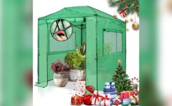 Best Outdoor Greenhouse For Winter