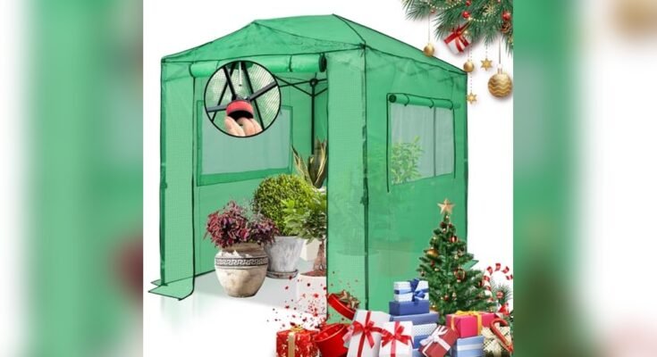 Best Outdoor Greenhouse For Winter