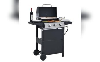 Best Outdoor Grill For The Money