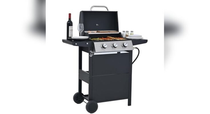 Best Outdoor Grill For The Money