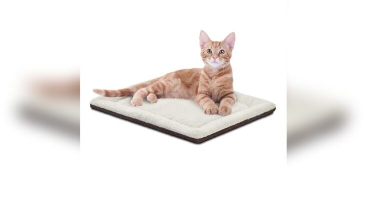 Best Outdoor Heating Pad For Cats