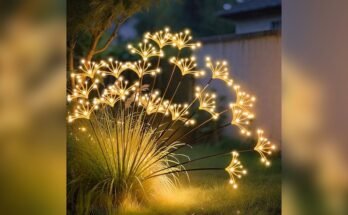 Best Outdoor Solar Lights For Winter