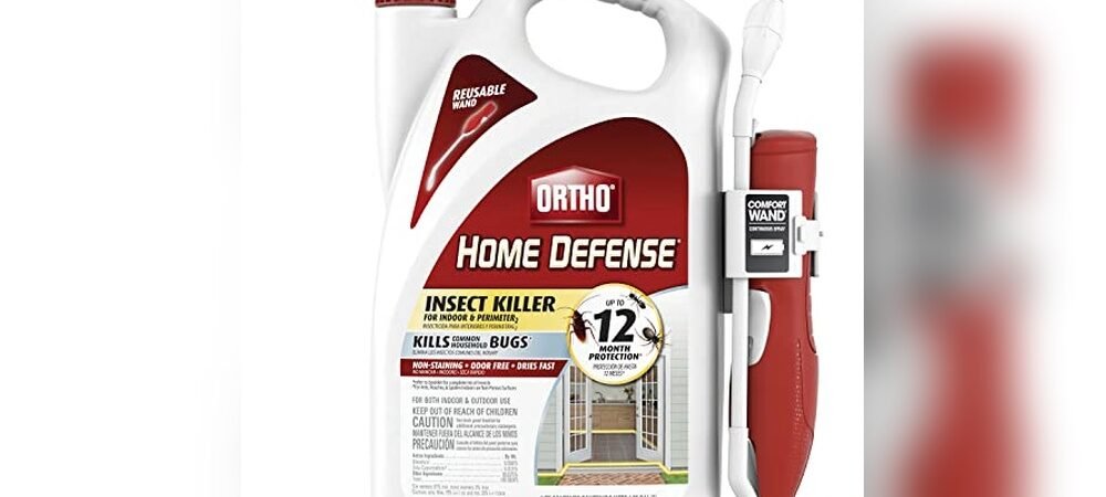 Best Outdoor Spray For Ants