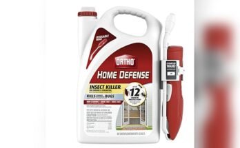 Best Outdoor Spray For Ants